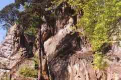 1999-Vylet_Cesky_raj-02
