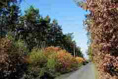 2000-Vylet_NS_Brandys-02