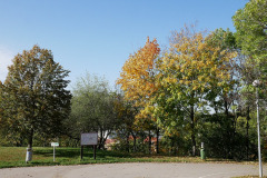 ma135305